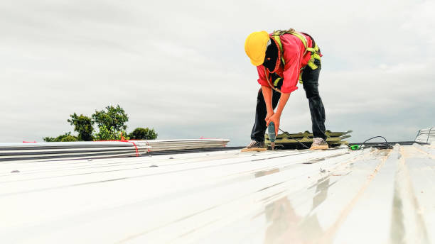 Sheet Metal Roofing in Highland Park, PA